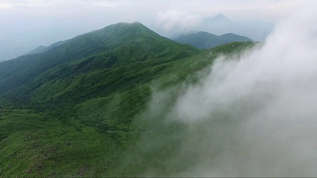 鸟瞰图山上森林覆盖着云视频素材