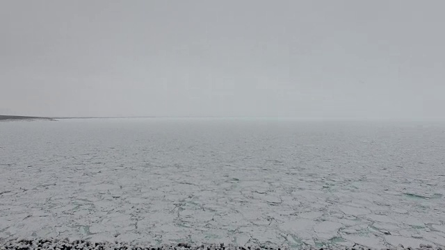 日本流冰视频下载