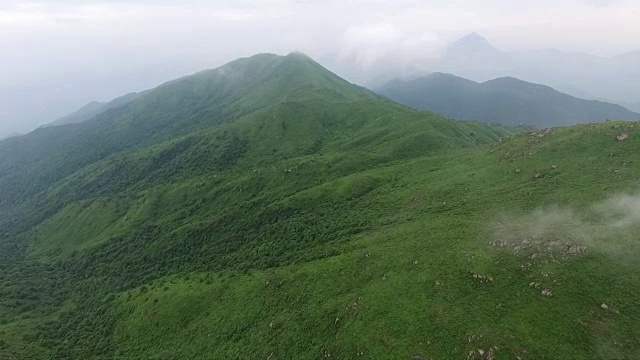 鸟瞰图山上森林覆盖着云视频素材