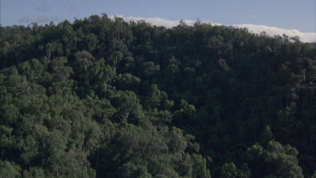 茂密的丛林覆盖着小山和山脉。视频素材