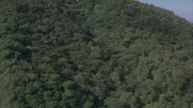 浓密的热带雨林覆盖着斐济群岛的山区。视频素材