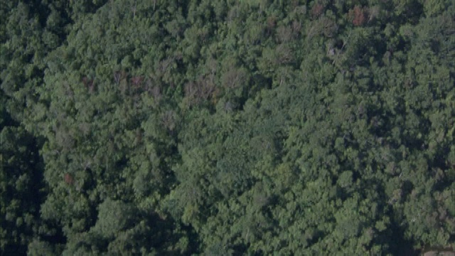 斐济群岛上连绵不断的丛林覆盖着小山。视频素材