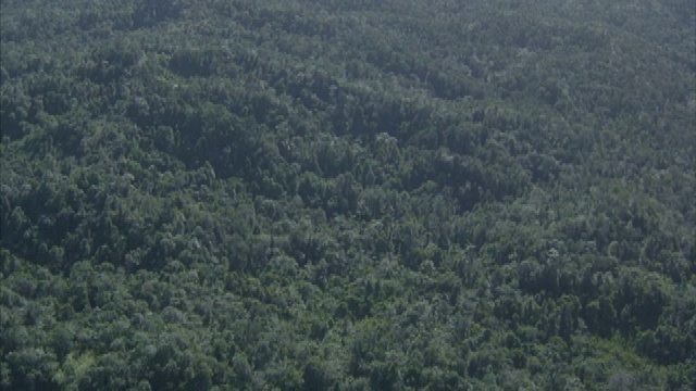 空中俯瞰茂密的热带森林和群山背景。视频素材