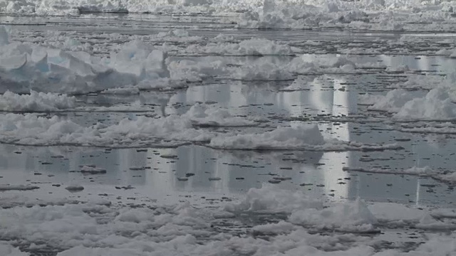 冻结的海水上有PAN雪视频素材