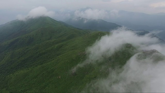 鸟瞰图山上森林覆盖着云视频素材