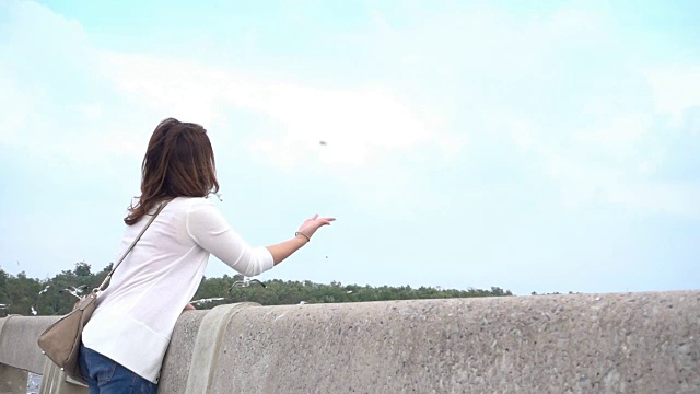 一名年轻女子在泰国热带海滩上喂海鸥视频下载