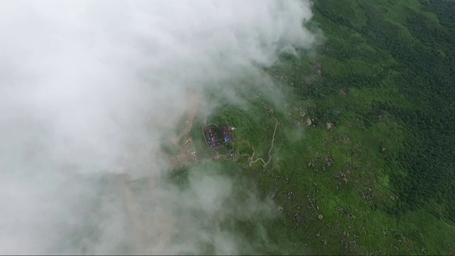 鸟瞰图的森林覆盖着云雾视频素材