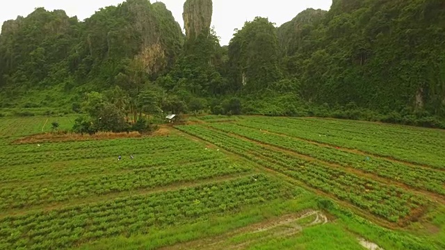 泰国Noen Maprang的石灰岩山鸟瞰图视频素材