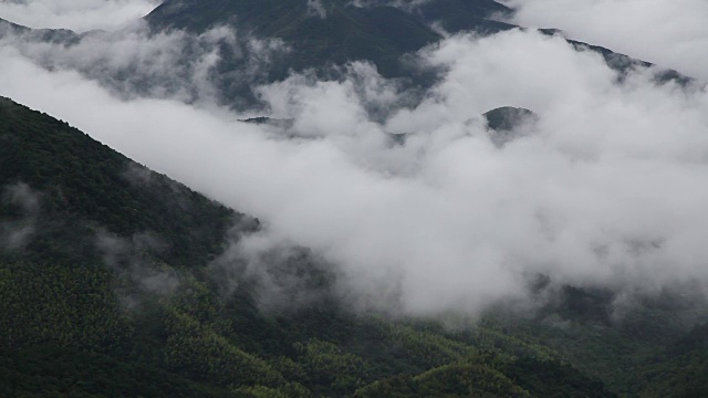 鸟瞰图山上森林覆盖着云视频素材