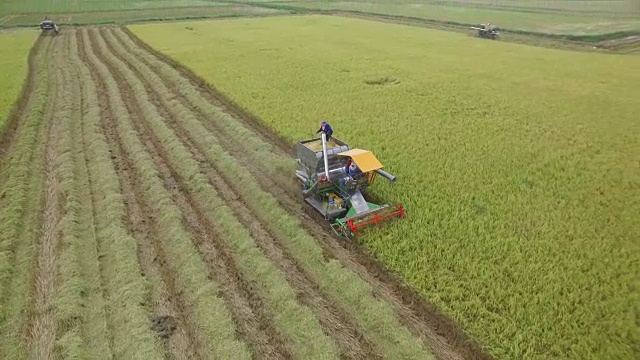 泰国大城府收割机田鸟瞰图视频素材