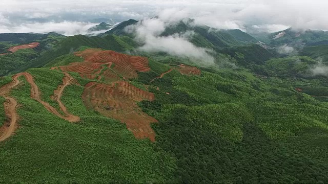 鸟瞰图山上森林覆盖着云视频下载