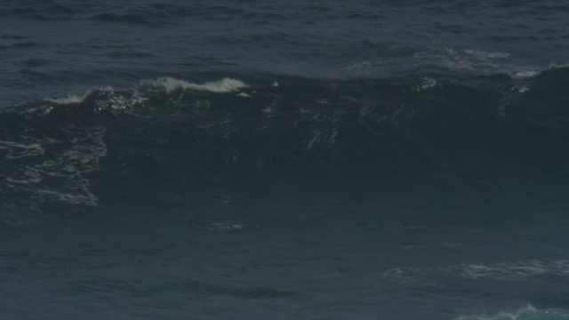 一群宽吻海豚在海浪中冲浪，在水下可以看到海浪打破他们视频素材