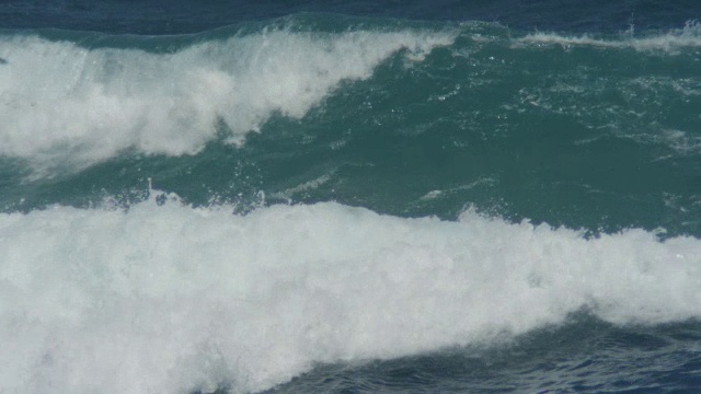 一群宽吻海豚在海浪中滑行，水下可见视频素材