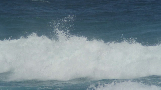 大群宽吻海豚在水下冲浪视频素材