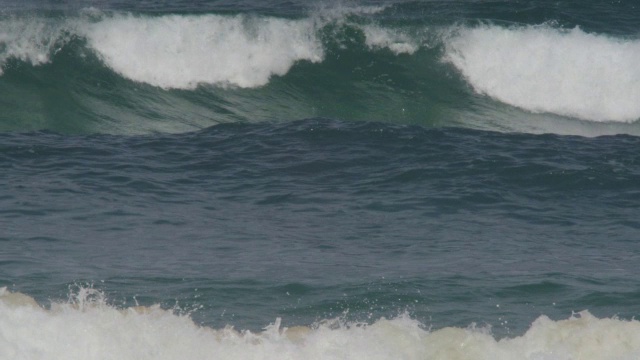 SLOMO宽吻海豚躺在海浪中视频素材