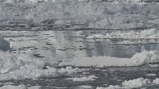 将雪倾斜到冰冻的海水上方至冰架视频素材