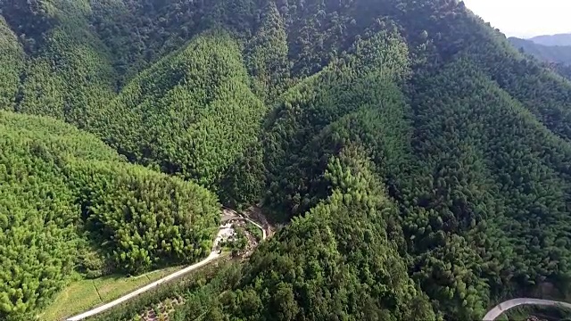 晴天绿山鸟瞰图视频下载