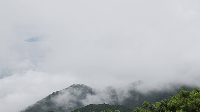 鸟瞰图山上森林覆盖着云视频素材