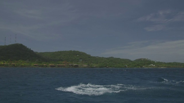 宽吻海豚在大海中跳跃，以海岸线为背景视频素材