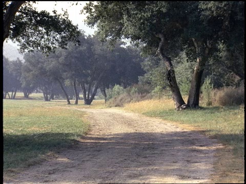 中景，18世纪风格的男人骑着马走过一条土路。视频素材