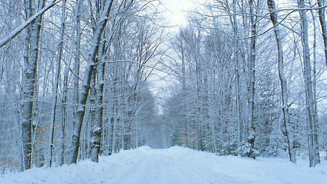 长镜头下雪的冬季道路两旁/树木覆盖在雪/佛蒙特州视频素材