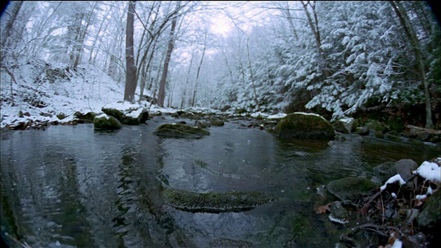 低角度长镜头小溪/岩石在冬天/雪覆盖周围的景观/佛蒙特州视频素材