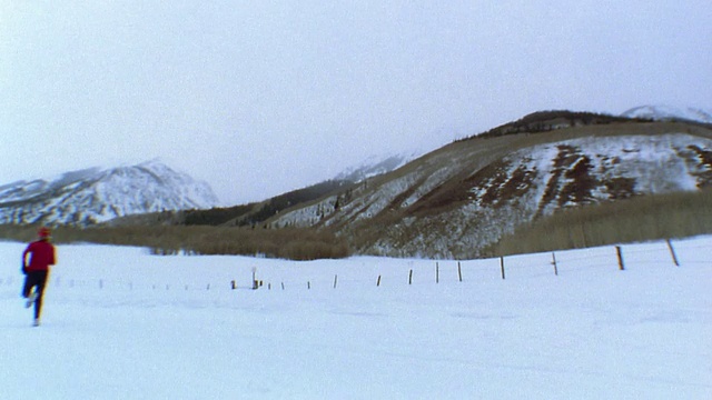 中速平底锅女子慢跑雪道/山和树的背景/韦尔，科罗拉多州，美国视频素材