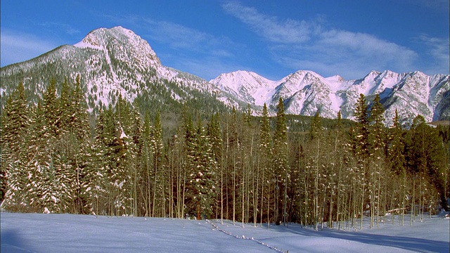 宽镜头的雪山和松树在冬天/科罗拉多州视频素材