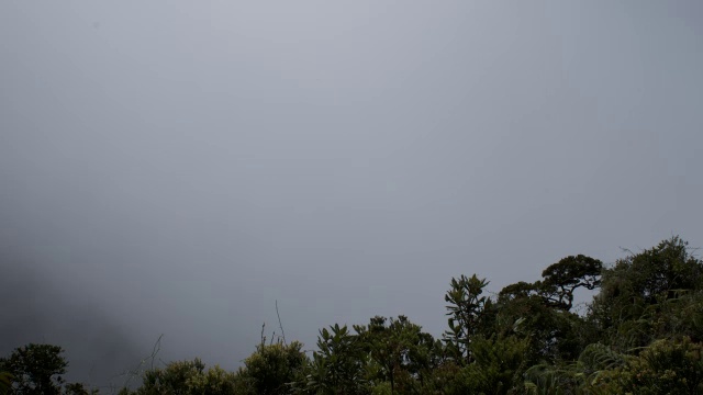 在婆罗洲基纳巴卢山，随着时间的推移，森林覆盖的山腰视频素材