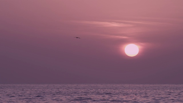 太阳落在阿拉伯海，阿曼视频素材