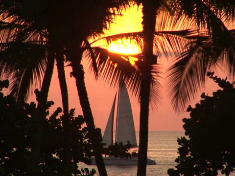 美国MS，夏威夷，大岛，怀阿鲁阿湾，海滩上棕榈树的剪影，帆船在夕阳下漂浮在水面上视频素材