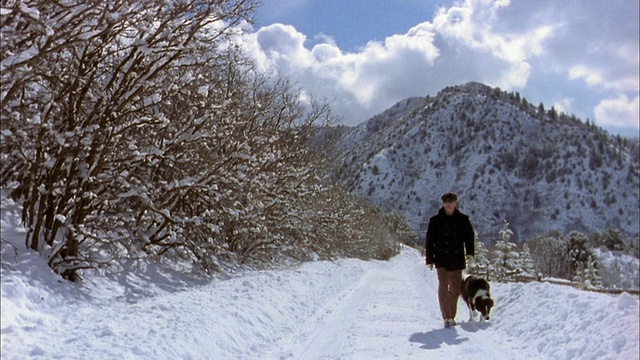 宽镜头男子走在雪山小路上/狗/科罗拉多视频素材