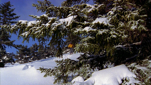 宽镜头跟踪拍到三个人在滑雪时经过了现场视频素材