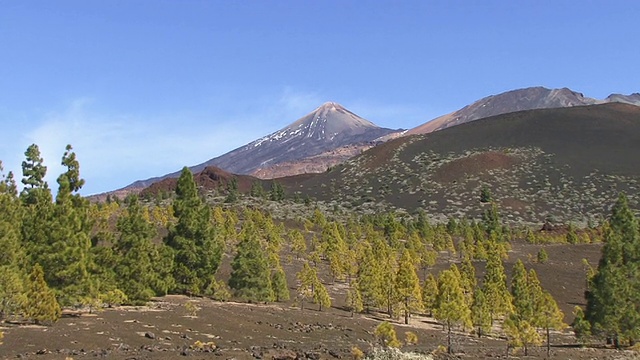 西班牙，加那利群岛，特内里费岛，泰德山后的山峰和火山景观视频素材