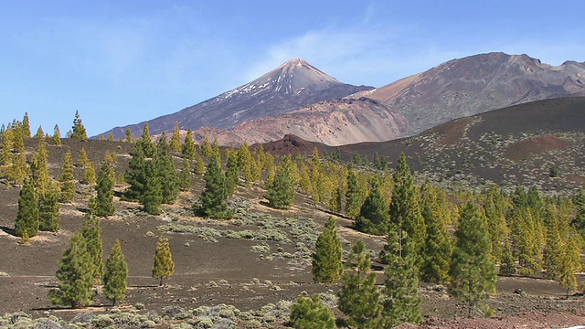 WS，山顶和火山景观，泰德山，特内里费，加那利群岛，西班牙视频素材