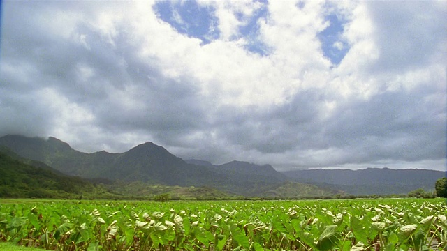 宽镜头多云的天空在山和绿色的田野/夏威夷视频素材