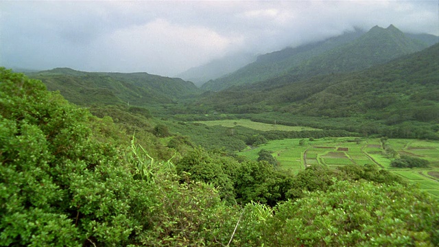 宽镜头绿色山丘和山谷/夏威夷视频素材