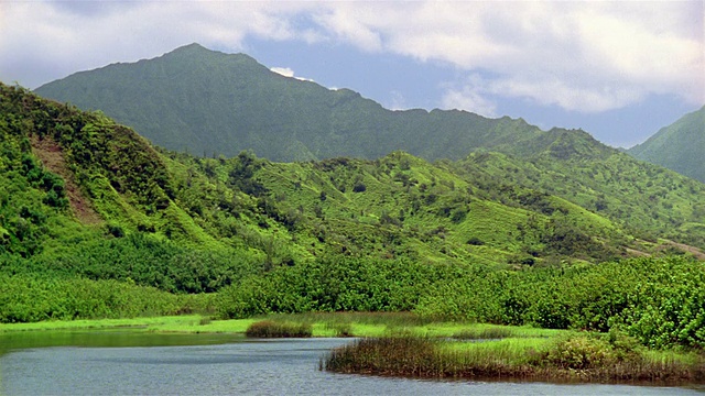 宽镜头绿色山丘和山与水在前景/夏威夷视频素材