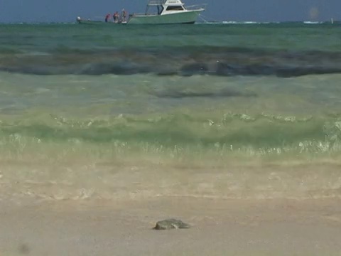 开曼群岛，大开曼群岛，史密斯湾，海滩上的海浪，远处的游艇视频素材