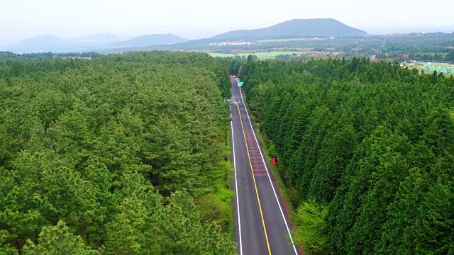 1100公路(韩国海拔最高的公路)鸟瞰图视频素材