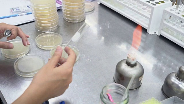 科学家和生物实验室实验视频素材