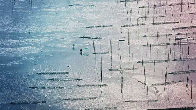 中国福建霞浦，渔民在艺术泥滩上捕鱼。视频下载