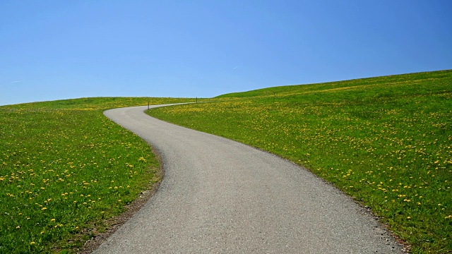 德国巴伐利亚州阿尔高西格蒲公英草地之间蜿蜒的道路视频素材