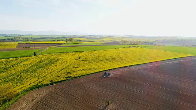 鸟瞰农业种植蔬菜作物的农田。视频下载