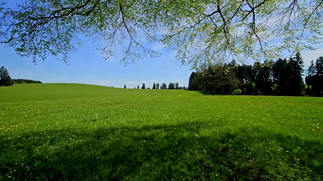 春天的草地景观，阿尔高，巴伐利亚，德国视频素材