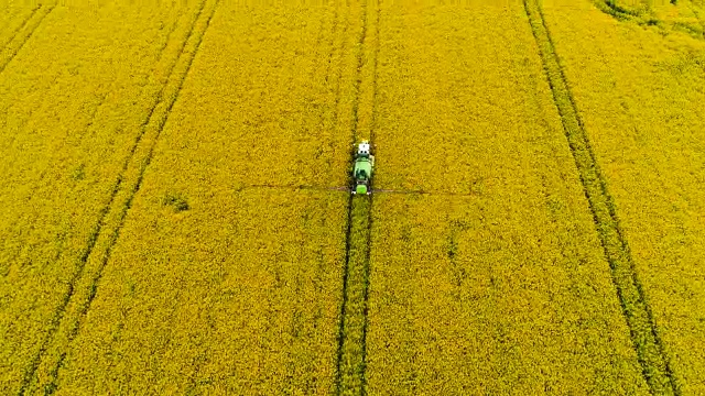 拖拉机喷洒油菜田。农业的背景。鸟瞰图。视频下载