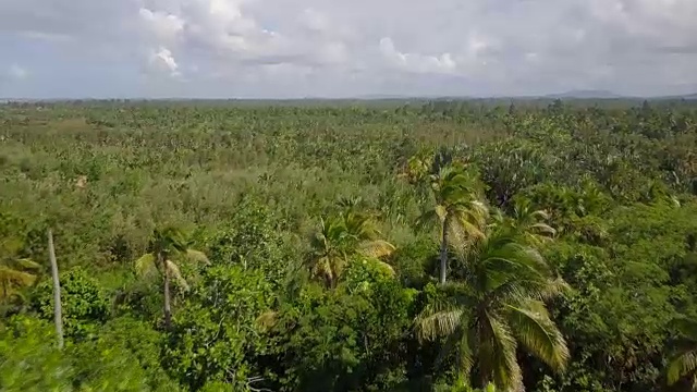 马达加斯加马汉博热带海岸无人机视图视频素材