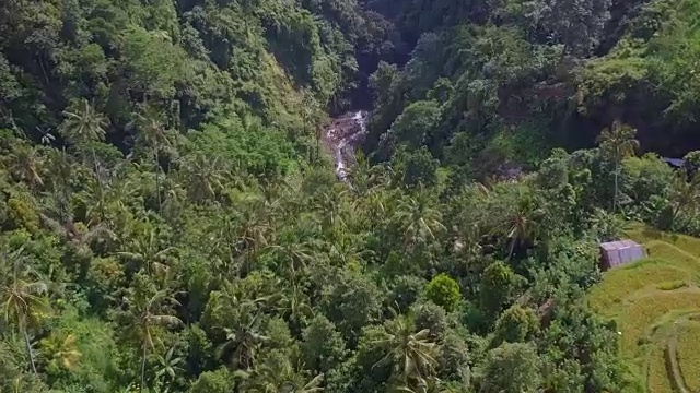 塞昆普尔斐济瀑布Singaraja巴厘岛自上而下无人机视图视频下载