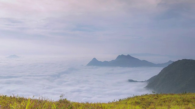 雾在山中运动视频下载