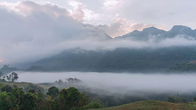 缩小:雾在山的运动视频下载